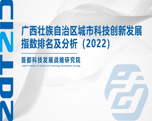 百度百度发一个操逼大黄片【成果发布】广西壮族自治区城市科技创新发展指数排名及分析（2022）